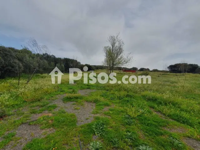 Terreno en venta en Brazatortas
