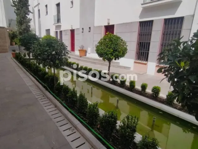 Piso en alquiler en Centro, Centro (Córdoba Capital) de 950 €<span>/mes</span>