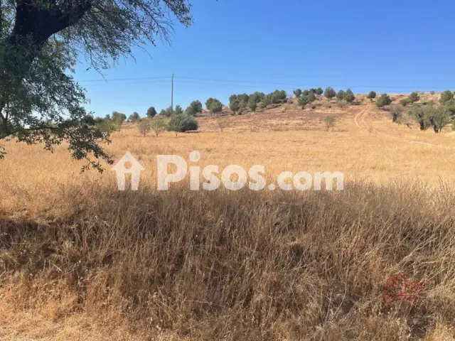 Terreno en venta en Herencia