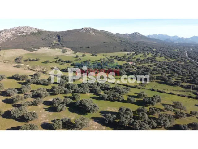 Finca rústica en venta en Deleitosa