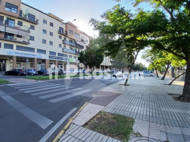 Piso en alquiler en Huerta Rosales-Valdepasillas, Huerta Rosales-Valdepasillas (Badajoz Capital) de 700 €<span>/mes</span>