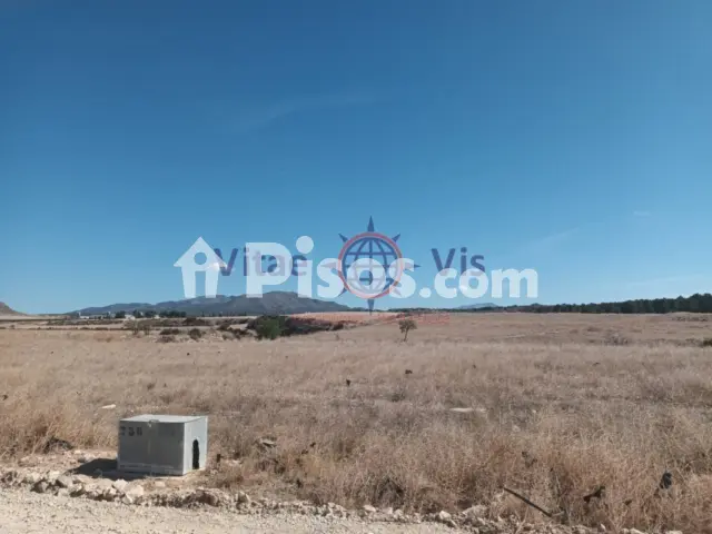 House in Lorca