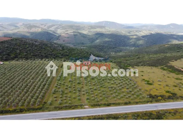 Finca rústica en venta en Castañar de Ibor