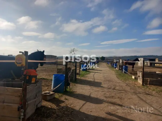 Finca rústica en venta en Fuente El Saz de Jarama, Fuente el Saz de Jarama de 350.000 €