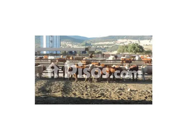 Terreno en venta en Centro