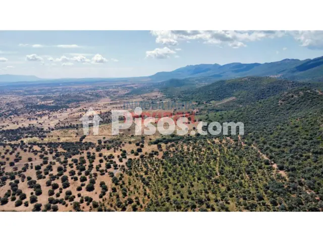 Finca rústica en venta en Villar del Pedroso