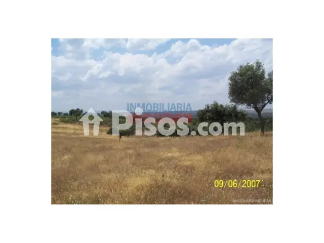 Finca rústica en venta en Alcántara