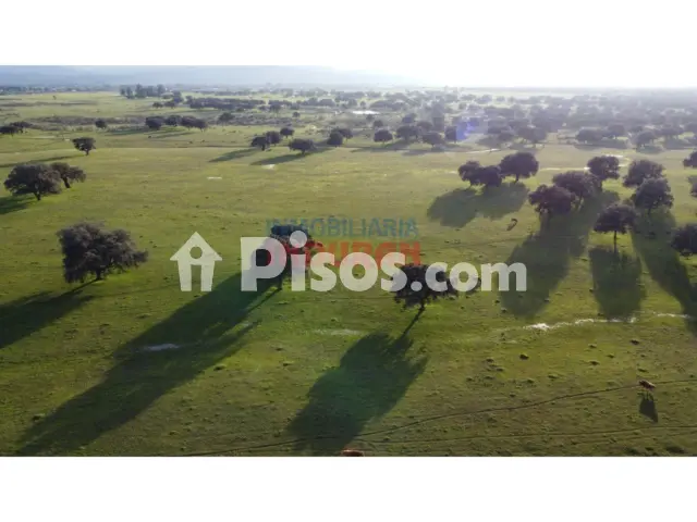 Finca rústica en venta en Saucedilla