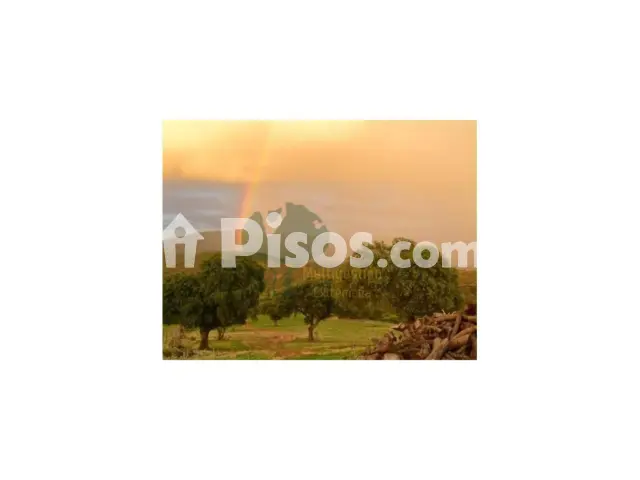 Finca rústica en venta en Plaza de la Constitución