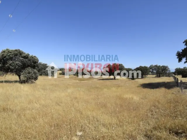 Finca rústica en venta en Millanes