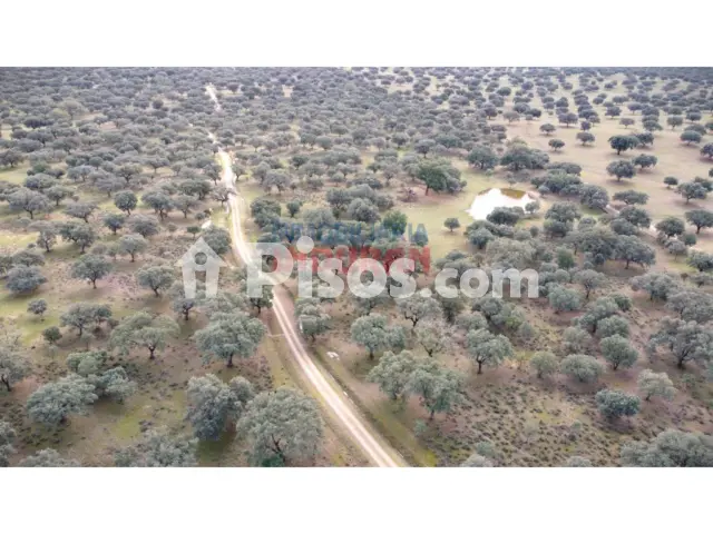 Finca rústica en venta en Majadas