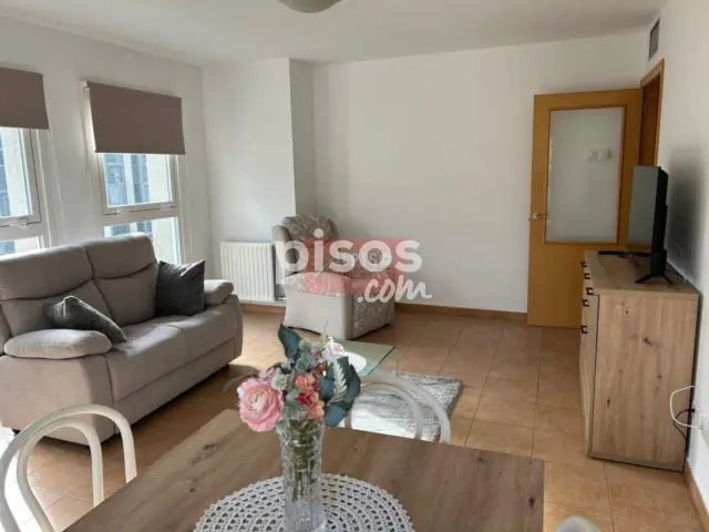 Piso en alquiler en Calle Montepedroso, 1, Barrocás (Ourense Capital) de 800 €<span>/mes</span>