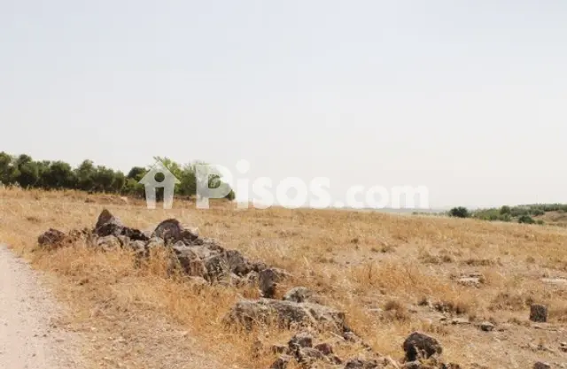 Terreno en venta en Calle Puente S-N, Número 0