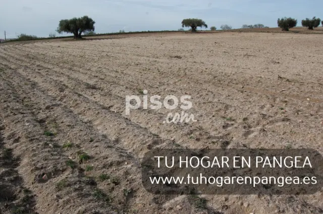 Finca rústica en venta en Navalcarnero, Navalcarnero de 18.800 €