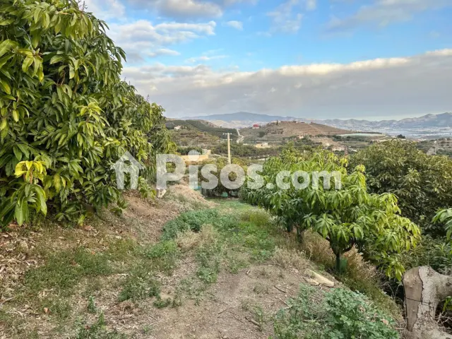 Finca rústica en venta en Calle Minasierra Alta, Número 1, Zona Ronda de Poniente-Avenidas Salobreña-Enrique Martín Cuevas (Motril) de 240.000 €