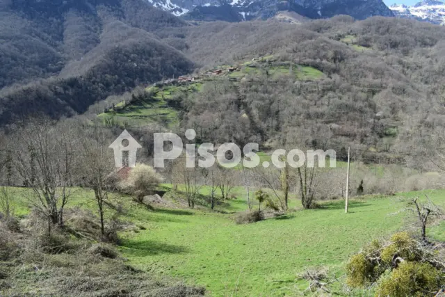 Finca rústica en venta en Carangas (Ponga), Carangas (Ponga) de 350.000 €