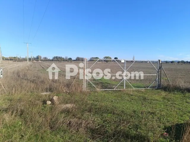 Terreno en venta en Argamasilla de Calatrava