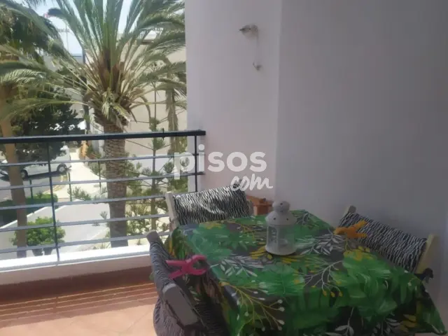 Apartamento en alquiler en los Cristianos, Los Cristianos (Arona) de 1.100 €<span>/mes</span>