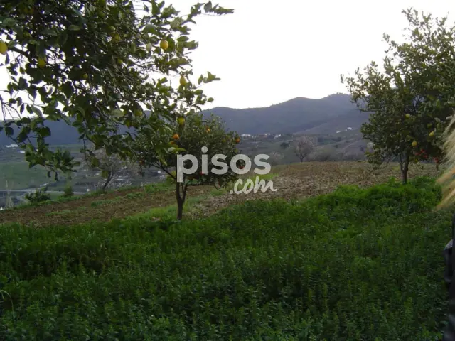 Finca rústica en venta en Carratraca, Carratraca de 300.000 €