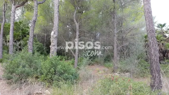 Finca rústica en venta en Artà, Artà de 130.000 €