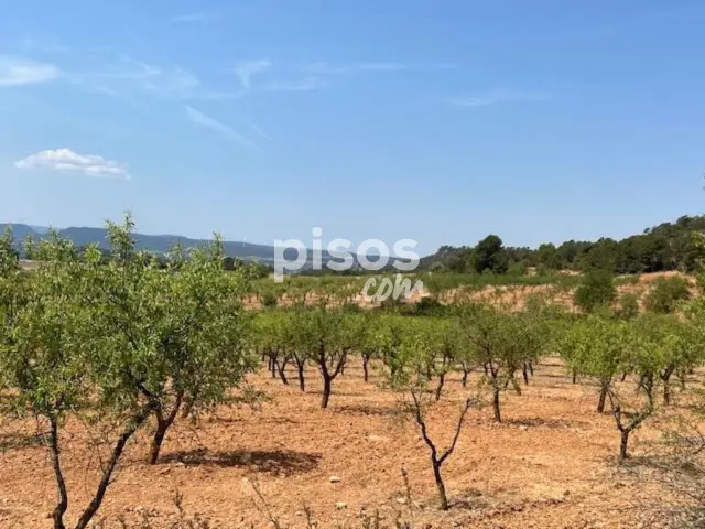 Finca rústica en venta en Valencia Province, Cofrentes de 800.000 €