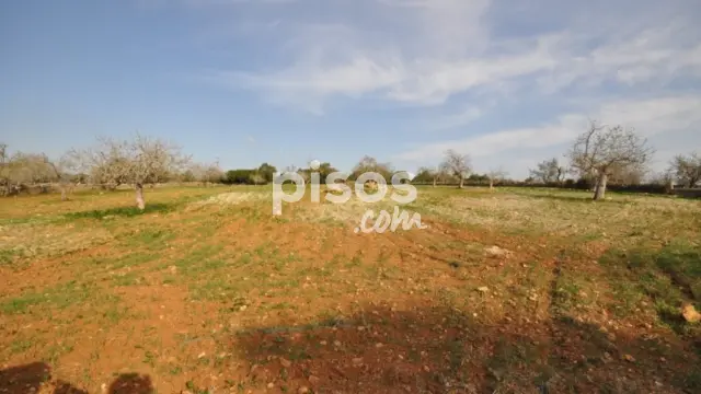 Finca rústica en venta en Sant Llorenç Des Cardassar, Sant Llorenç des Cardassar de 165.000 €