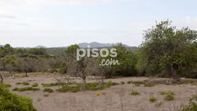 Finca rústica en venta en Artà, Artà de 1.800.000 €