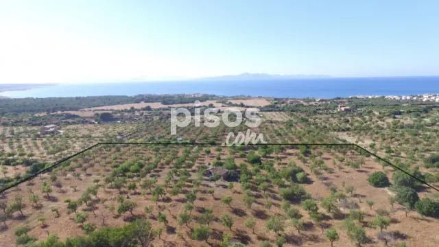 Finca rústica en venta en Colònia de Sant Pere, Colònia de Sant Pere (Artà) de 615.000 €