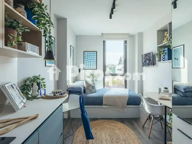 Casa en alquiler en La Palmera-Reina Mercedes, La Palmera-Reina Mercedes (Distrito Bellavista-La Palmera. Sevilla Capital) de 1.050 €<span>/mes</span>