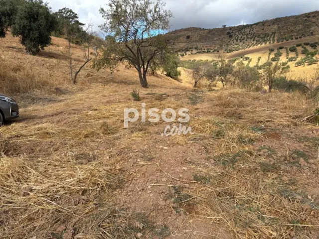 Terreno en venta en Calle >Diseminado Poligono 1, Número >, Casabermeja de 60.000 €