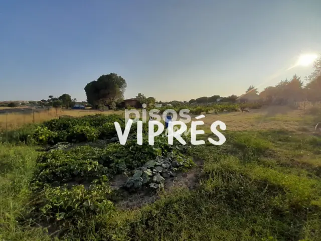 Finca rústica en venta en Garrovillas de Alconétar, Garrovillas de Alconétar de 128.000 €