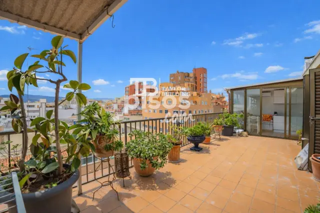 Ático en venta en Carrer del Pare Ventura, Foners (Distrito Llevant. Palma de Mallorca) de 590.000 €