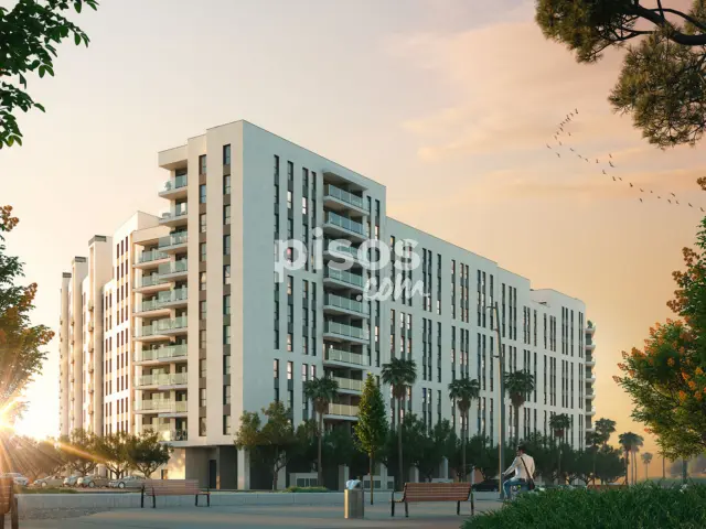 Promoción Entrenúcleos Class, Avda. Manuel Clavero Arévalo esq. Av. José Rodríguez. Entrenúcleos (Dos Hermanas) de 219.900 €