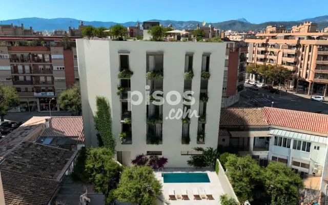 Promoción Vae Alfons El Magnànim, Calle Alfons el Magnànim 54-56. L'Olivera (Distrito Nord. Palma de Mallorca) de 475.000 €