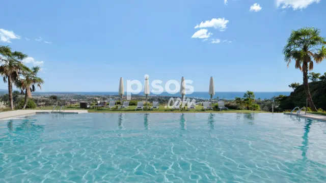 Promoción Thera, Calle Torrevigía s/n. Selwo (Estepona)