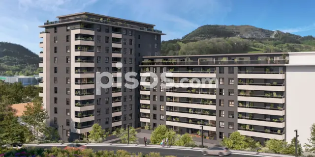 Promoción Andoain Berri Fase 2, Calle Ama Kandida Etorbidea s/n. Andoain de 315.000 €
