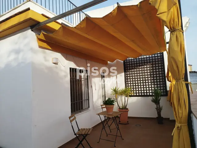 Ático en alquiler en Calle Castilla, 8, cerca de Calle de Callao, Triana Casco Antiguo (Distrito Triana. Sevilla Capital) de 1.100 €<span>/mes</span>