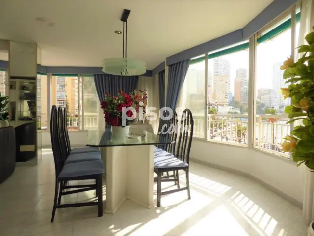 Piso en alquiler en Avenida de Madrid, 1, Platja de Llevant (Benidorm) de 1.390 €<span>/mes</span>