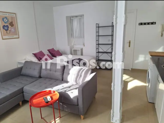 Estudio en alquiler en Calle Jerónimo Hernández, 12, Encarnación-Regina (Distrito Casco Antiguo. Sevilla Capital) de 890 €<span>/mes</span>