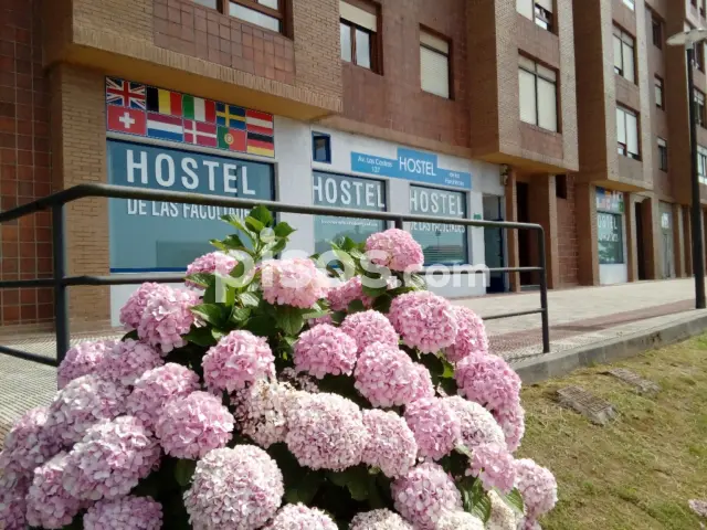 Habitación en alquiler en Avenida de los Castros, 137, cerca de Bajada de San Juan, Los Castros (Santander) de 875 €<span>/mes</span>