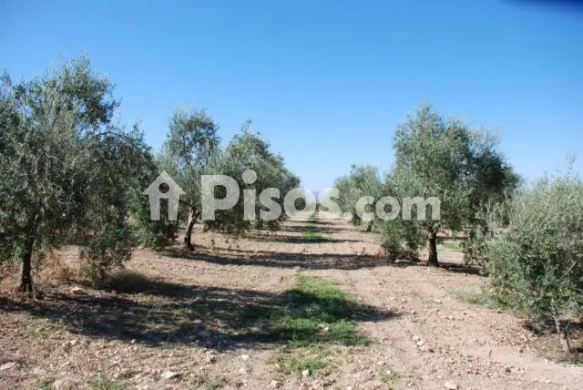 Finca rústica en venta en Manzanares
