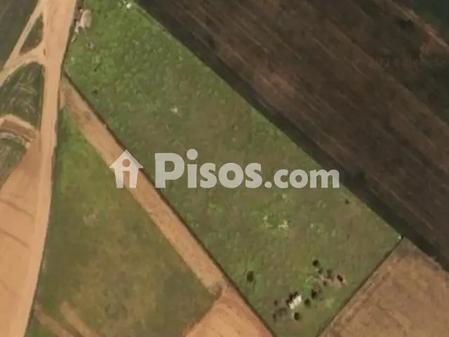 Finca rústica en venta en Manzanares