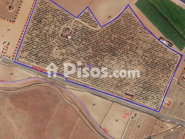 Finca rústica en venta en Manzanares