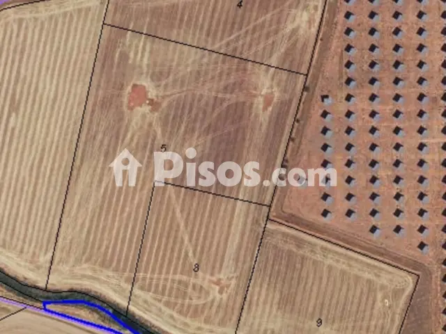 Finca rústica en venta en Manzanares