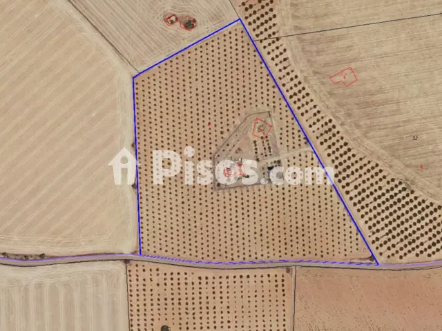 Finca rústica en venta en Manzanares