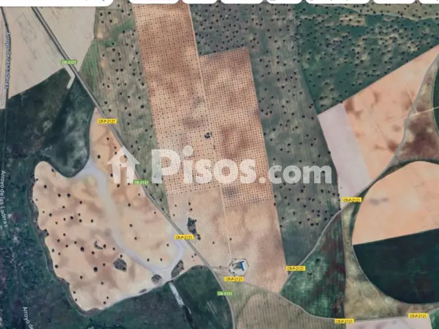 Finca rústica en venta en Daimiel