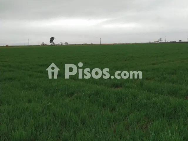 Finca rústica en venta en Daimiel