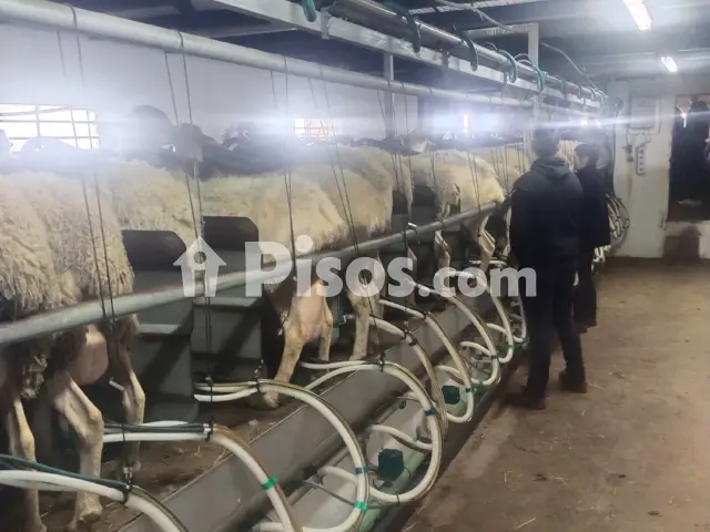 Finca rústica en venta en Carretera de la Finca la Valona Valdepeñas Daimiel