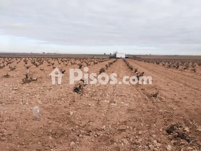 Finca rústica en venta en Calle de Villarubia
