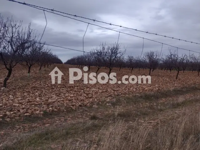 Finca rústica en venta en Calle Termino de Daimiel